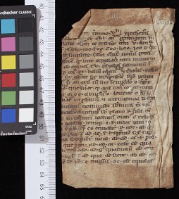 St John's College MS 235 (Fragment 24)