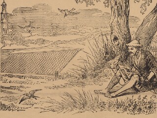 Chinese Collections Digitization Project