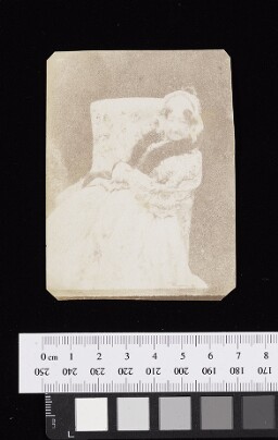 Digital surrogate of Portrait of Talbot's mother, Lady Elisabeth Feilding, seated in an armchair