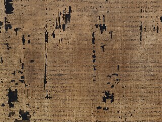 Greek and Latin Papyri